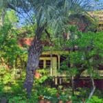 A lush garden with a palm tree partially hides a yellow house with a porch and railing.