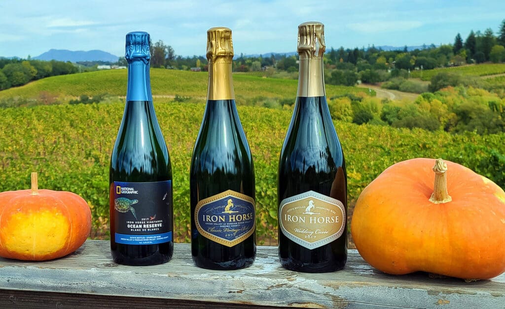 Three bottles of sparkling wine with two pumpkins on a ledge, overlooking a green vineyard landscape.