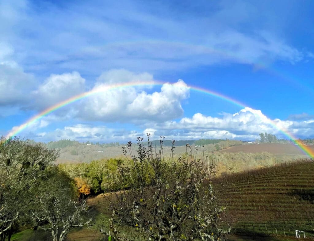 A bright rainbow arcs over a green hilly landscape with trees under a blue sky filled with clouds.