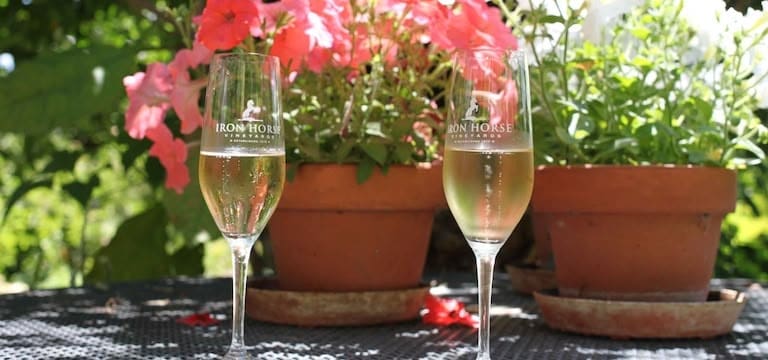 Two glasses of sparkling wine on a table with potted flowers in the background.