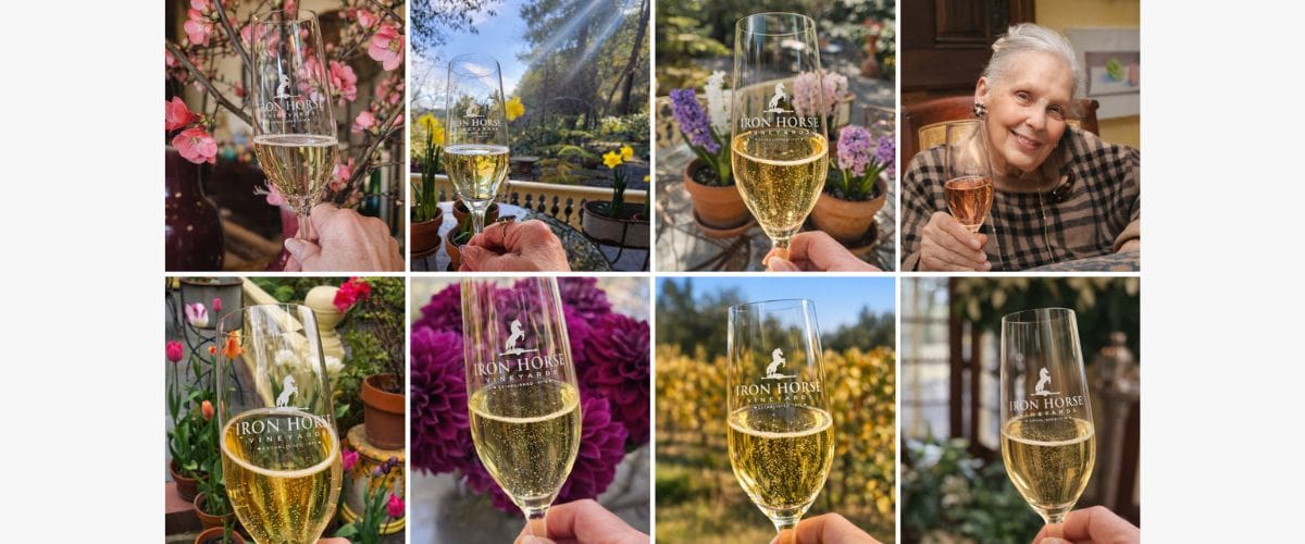montage-of-toasts-and-celebrations A collage of hands holding champagne glasses amid flowers, greenery, and an elderly woman smiling indoors.