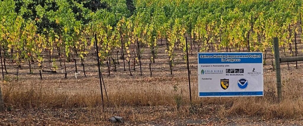 A vineyard with a sign reading Salmon Habitat Improvement Project in Progress and partner logos.
