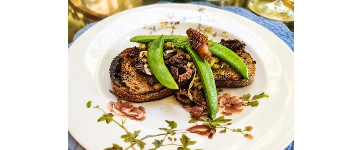 Fresh Morel Mushrooms in Sparkling Wine Sauce on Toast | Iron Horse Vineyards