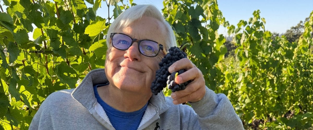 David muskgard with grapes
