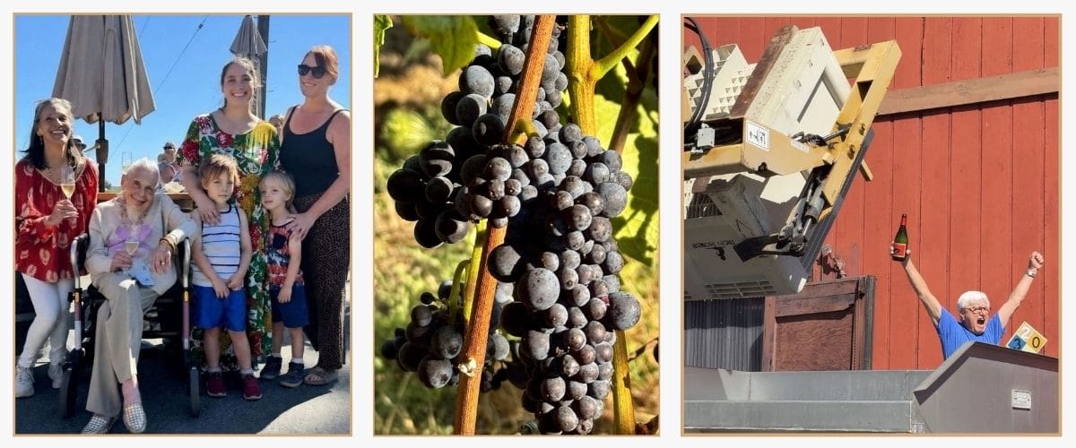 harvest 2026 images of the sterling family, ripe grapes on the vine and winemaker david monksgard happy