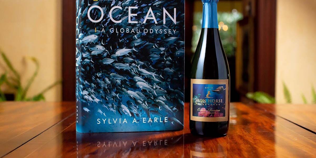 Book Ocean: A Global Odyssey and a blue-capped bottle side by side on a wooden table.