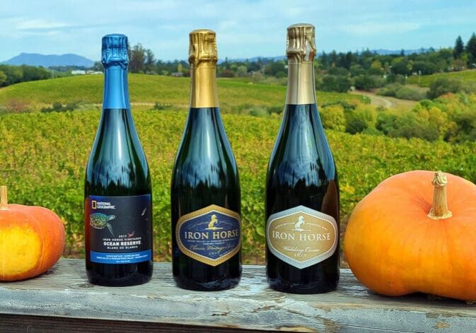 Three bottles of sparkling wine with two pumpkins on a ledge, overlooking a green vineyard landscape.