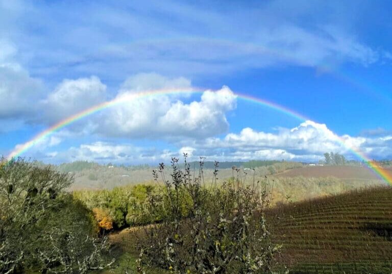 A bright rainbow arcs over a green hilly landscape with trees under a blue sky filled with clouds.