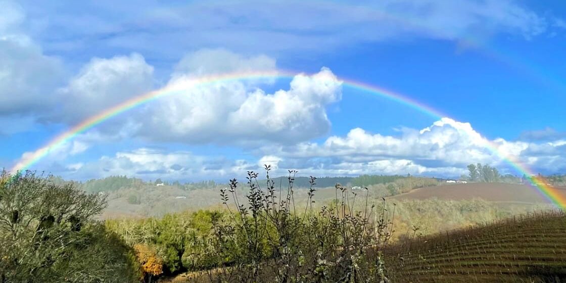 Happy New Year from Iron Horse | Iron Horse Vineyards