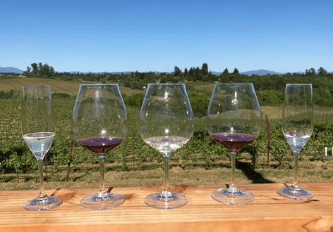 Five wine glasses with varying amounts of wine on a wooden ledge, overlooking a vineyard on a sunny day.