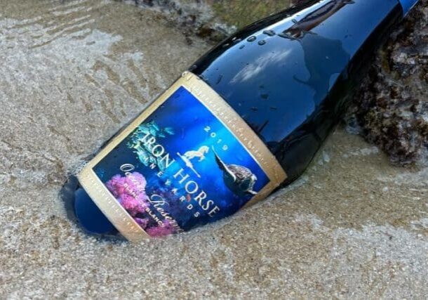 A bottle of sparkling wine partially buried in wet sand near a rock at the beach.