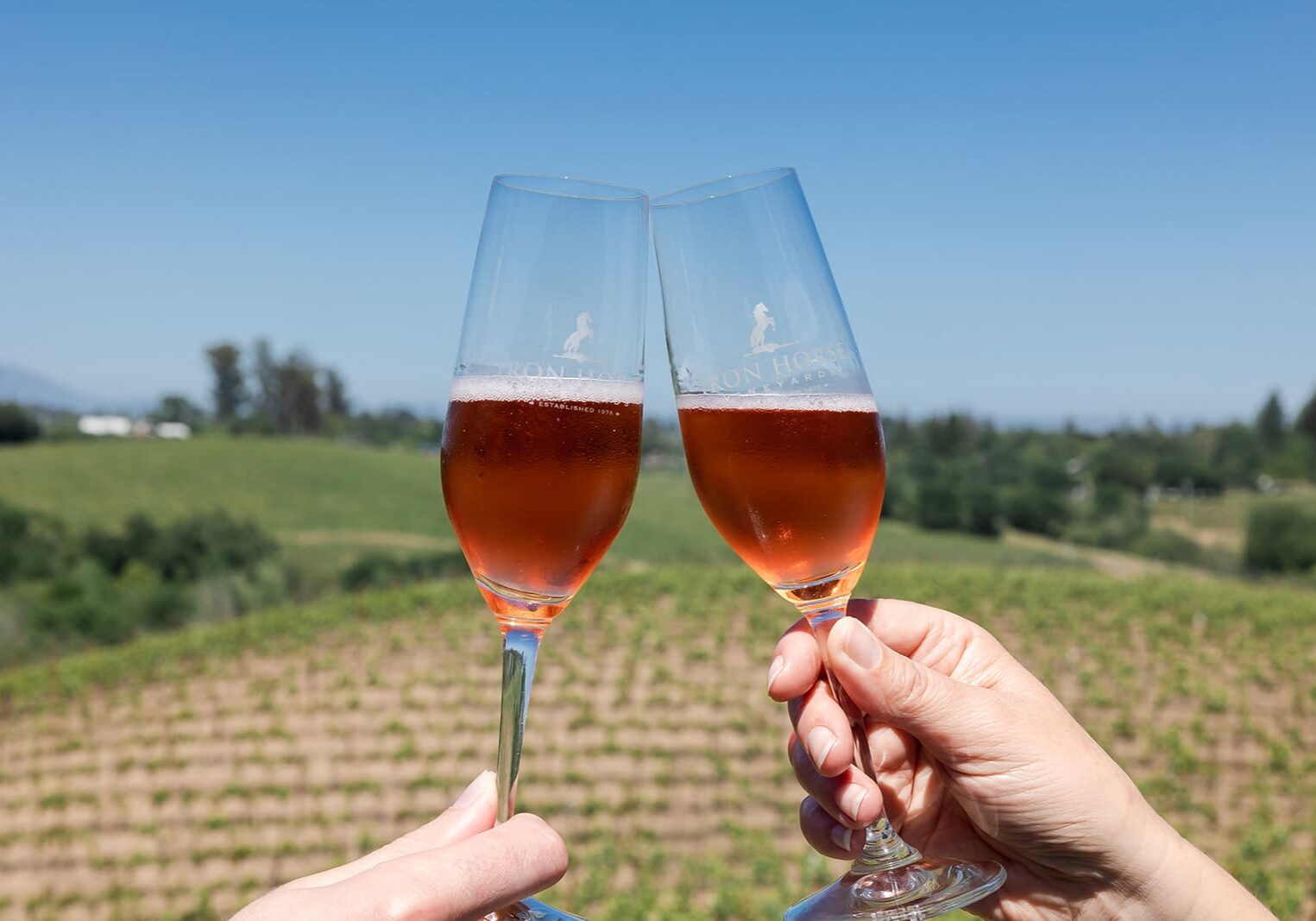 two glasses toasting with rose wine in them