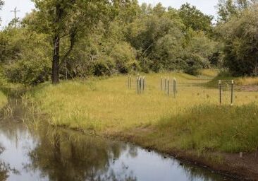 Iron Horse Media Images