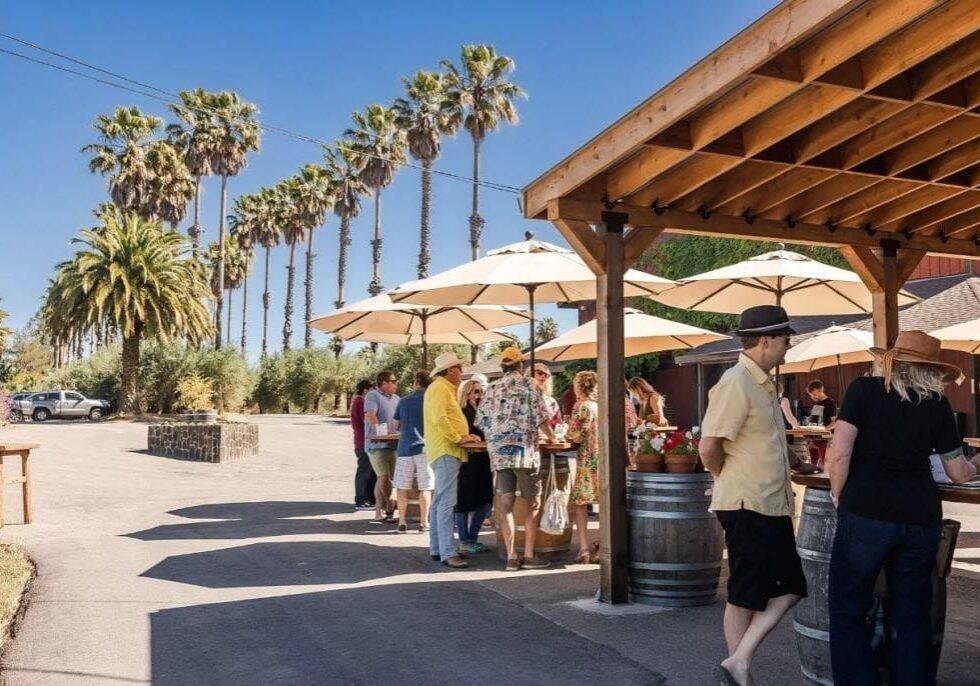 People gather under umbrellas at an outdoor event near palm trees and a wooden pavilion on a sunny day.