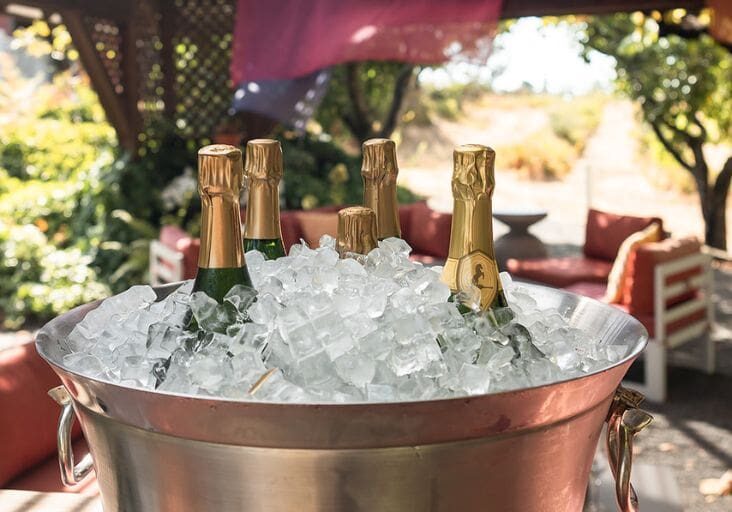 harvest magnum experience - iron horse magnums in a bucket of ice