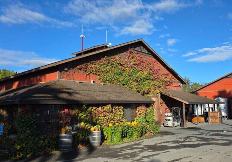 Red barn-like building with ivy on the walls, barrels, and pumpkins outside under a bright blue sky.