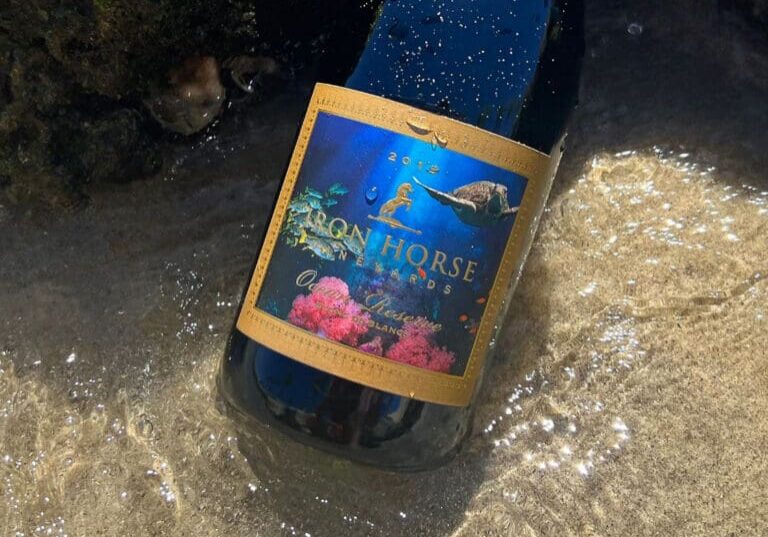 A wine bottle with a colorful label lies on wet sand at the waters edge.