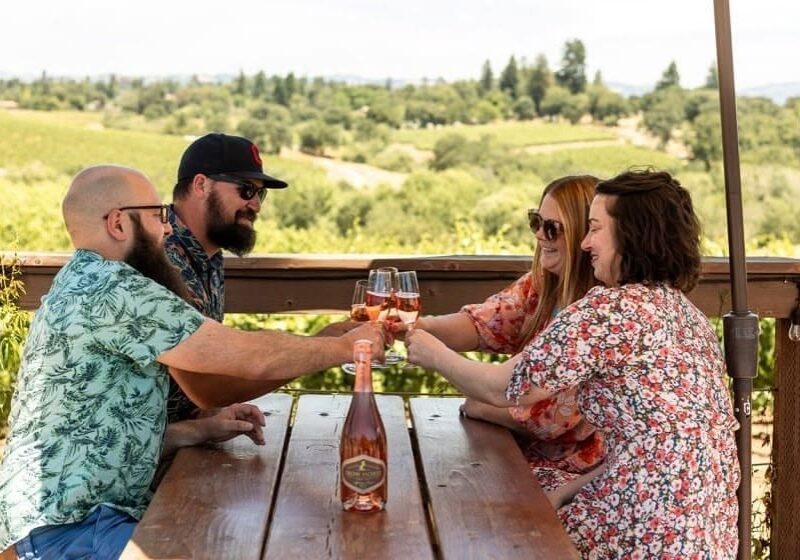 Four people clink glasses of rosé wine at an outdoor table with vineyards in the background.