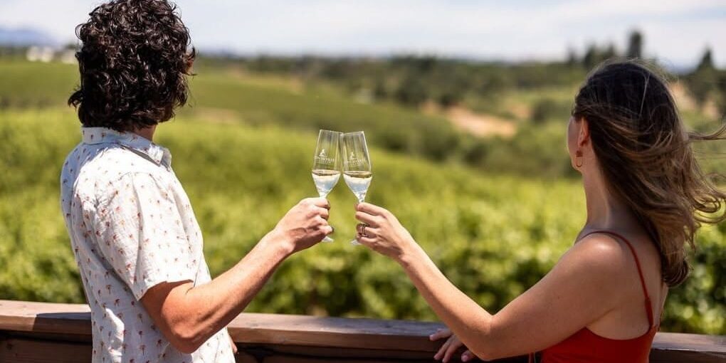 wine-tasting-with-a-view Two people toasting with wine glasses, overlooking a lush green vineyard on a sunny day.