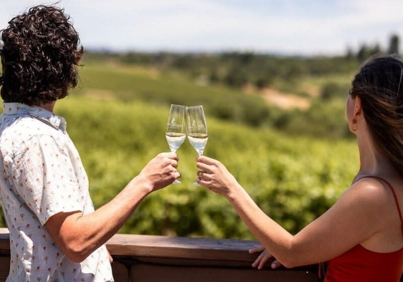 A man and woman clink champagne glasses while overlooking a green vineyard on a sunny day.